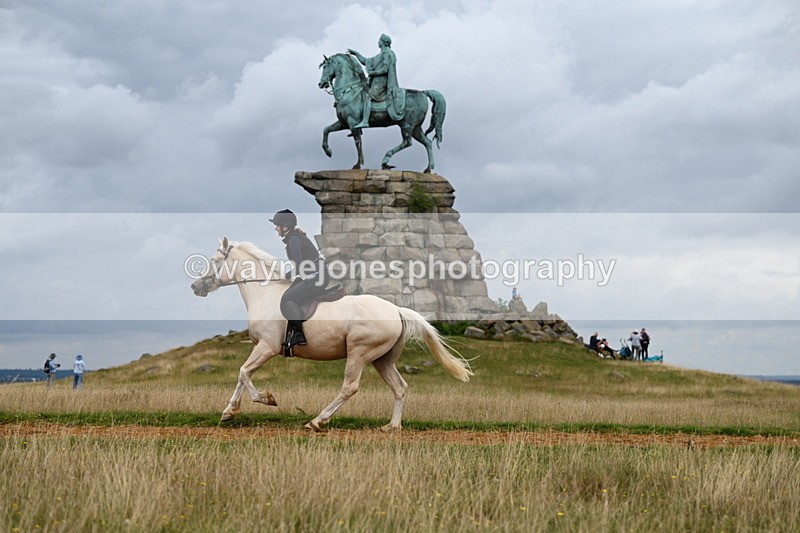 DSC_4977 - Time at Statue 11:10 to 11:42
