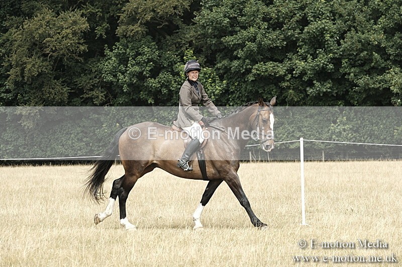 _PJP6062 - BVRC Show 2018 Ring 1