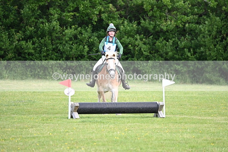 WJ6_2266 - Class 2 40cm