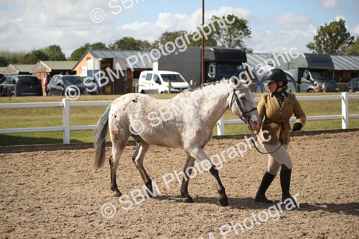 SBM_23399 - Class 604 - 2026 - Area IH Diamond