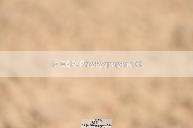 230906A-130352-00406 - Newcomers & 1.10m Open