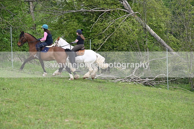 WJ6_3251 - A camera