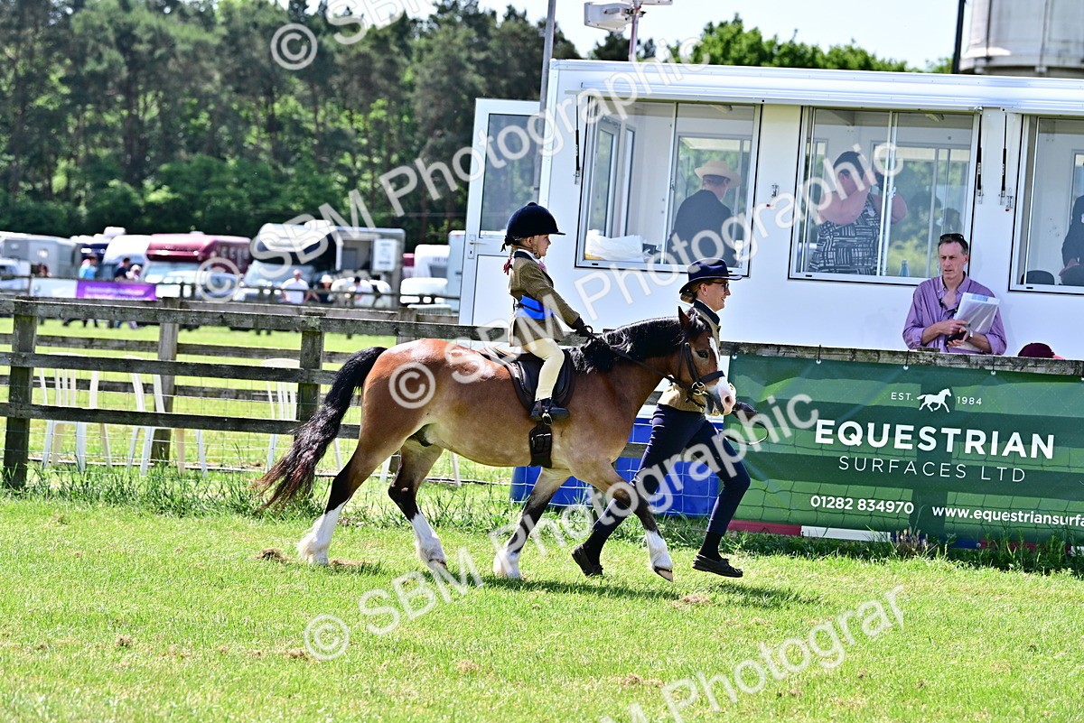SBM_06000 - Class 59-60 - TSR M&M  Lear Rein and First Ridden Amateur of the year