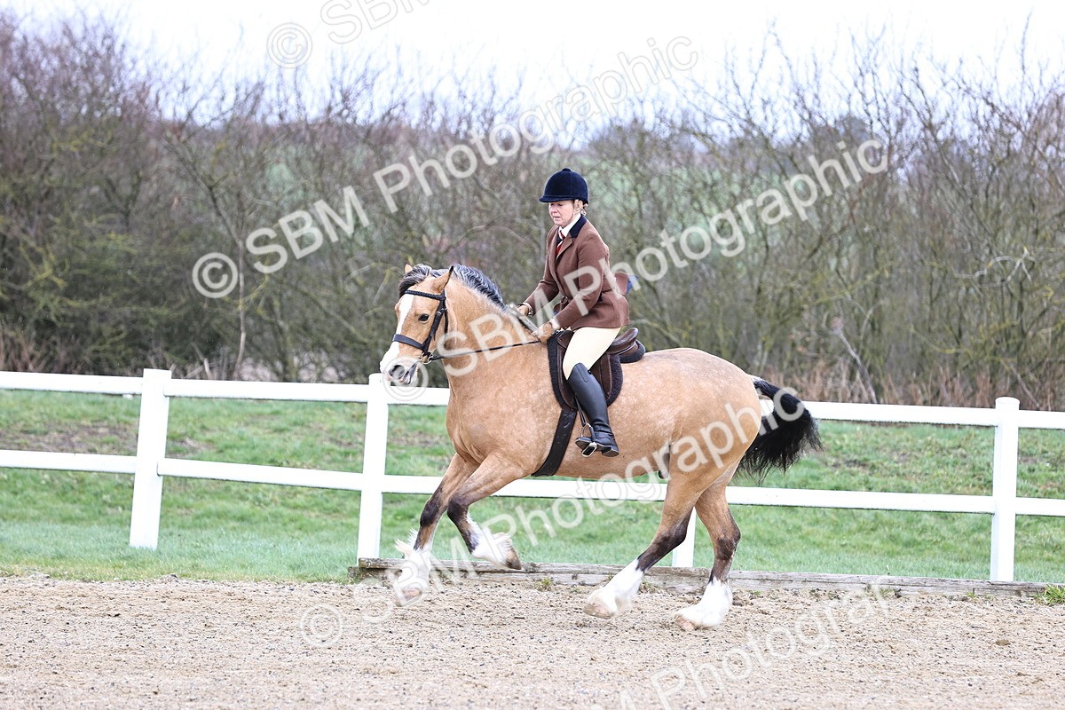 SBM_006955 - Class 29 - 30 - M&M Pure Novice Small-Large Breeds
