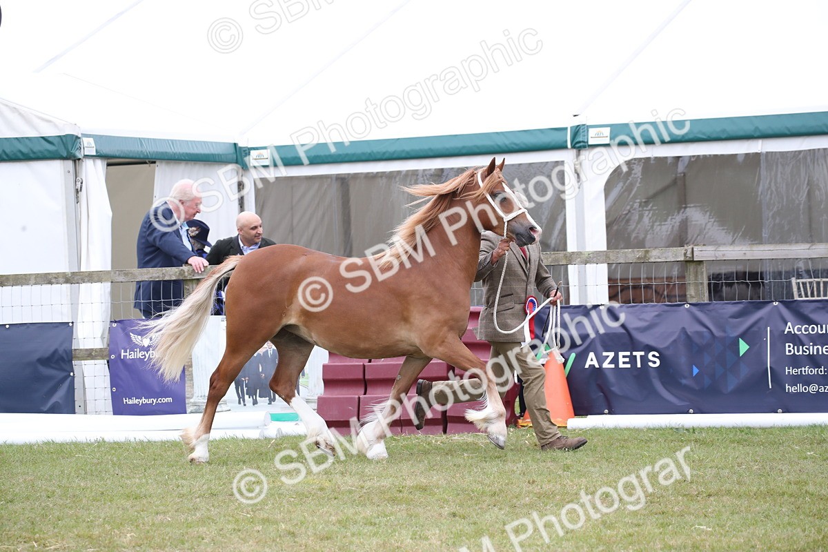 SBM_09748 - Ch 50 - Price Family Supreme In Hand