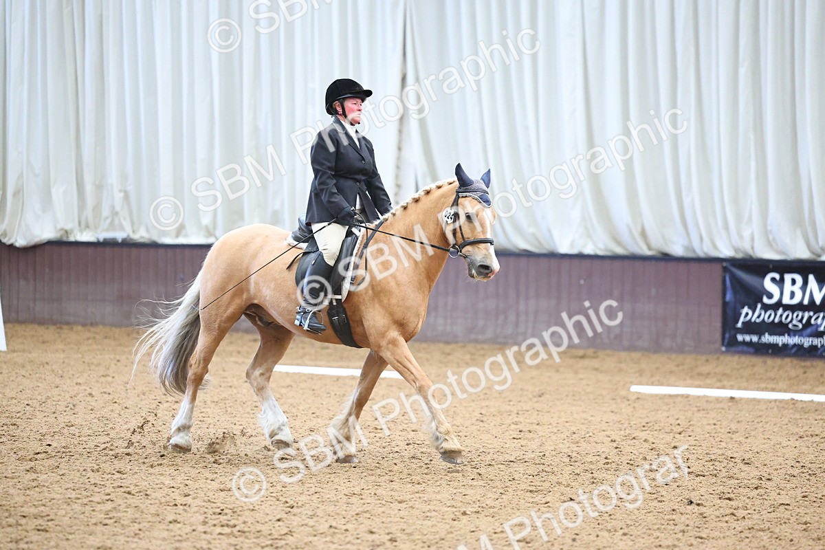 SBM_005388 - Class 3 - Novice 5