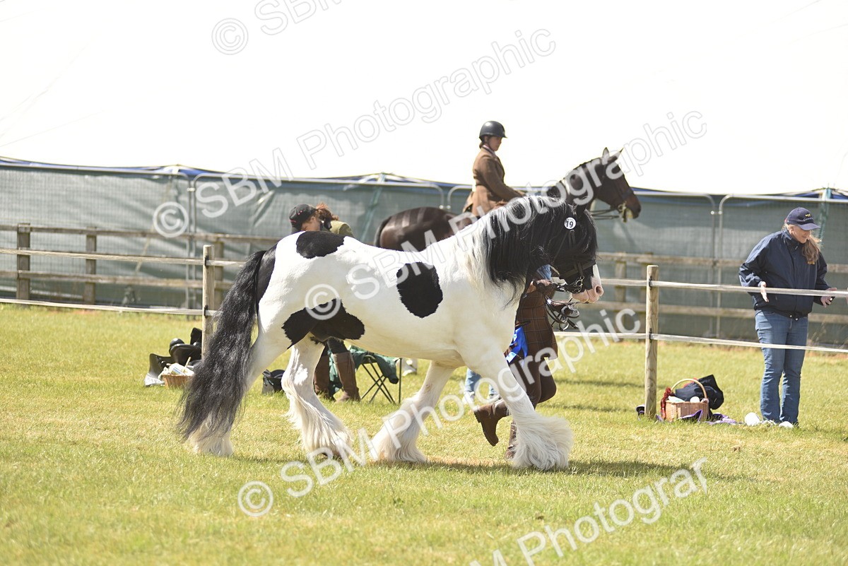 SBM_16122 - Class 117-122 - SSADL RIHS Qualifier