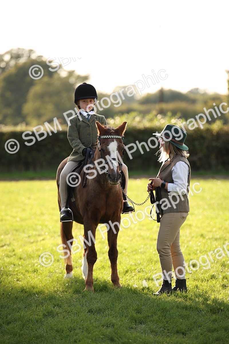 SBM_54398 - S27 - Mature Veteran - Ridden