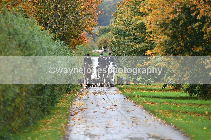 WJ5_6036 - B&B walk back for Hunt Tea !