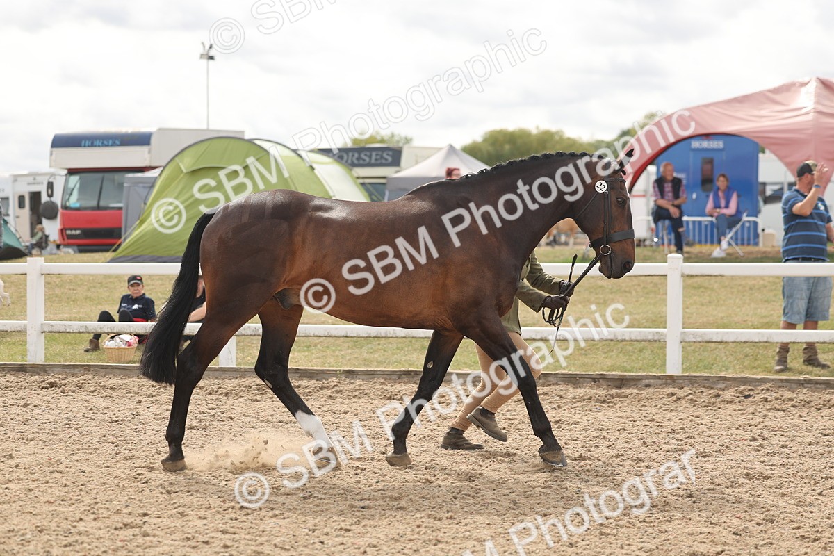 SBM_04992 - Class 20 - IH Veteran