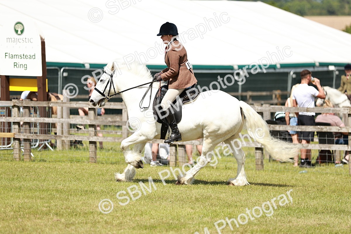 SBM_07078 - Class 26-30 - Mountain and Moorland Ridden