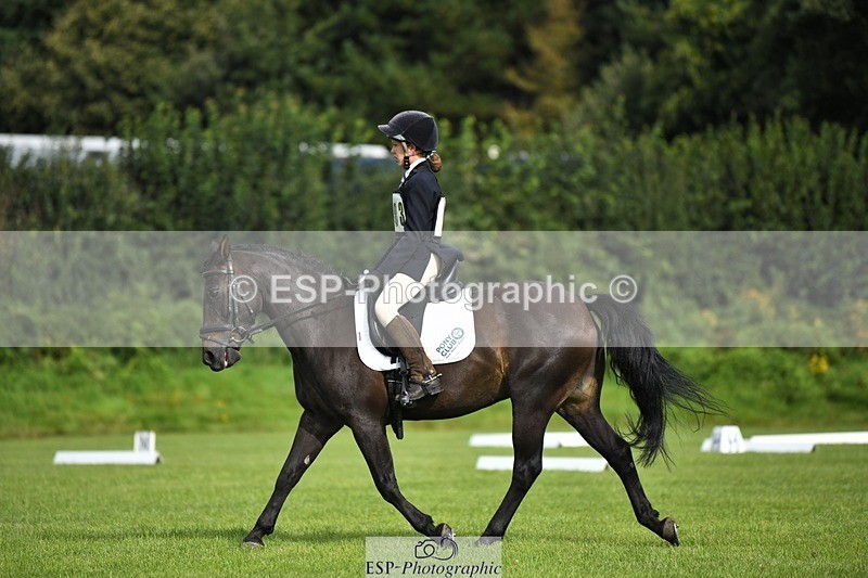 230826-095131-15264 - Sections C & D 9 to 10am