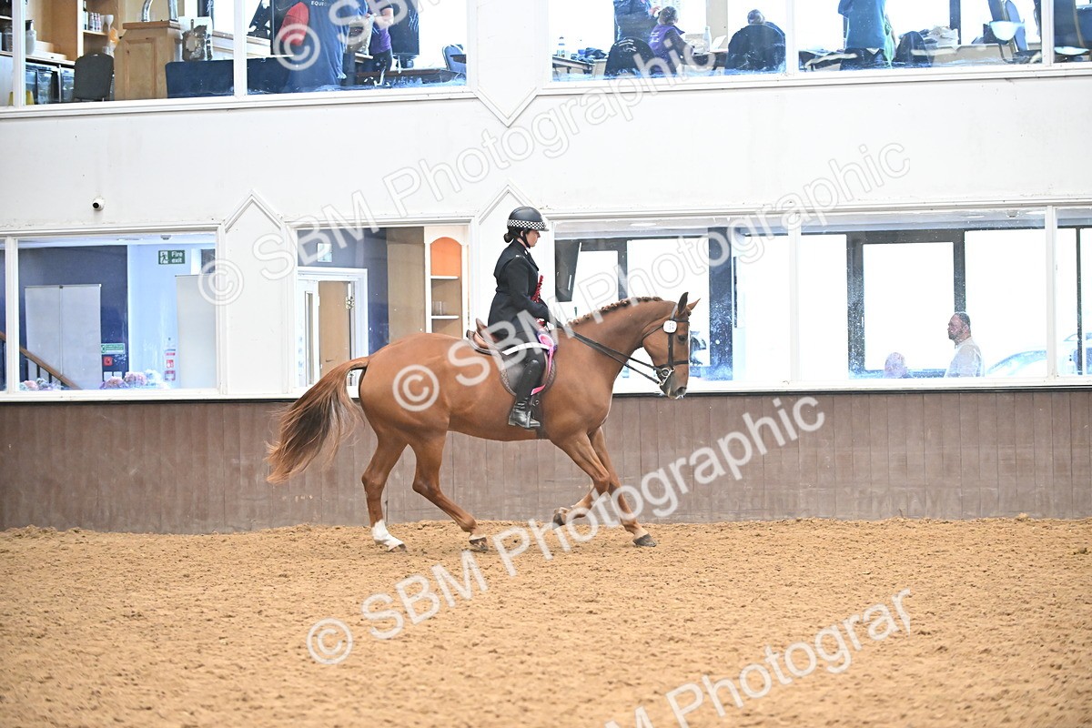 SBM_002732 - Ridden Showing Supreme Championships
