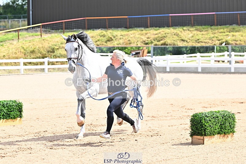 240718A-105236-00913 - Trot Up 11am to 12pm