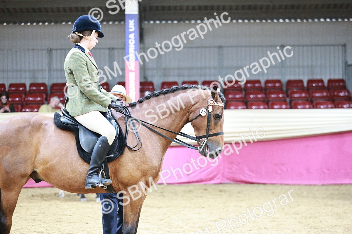 SBM_03543 - Class 6A Area Ridden Pre-Vet