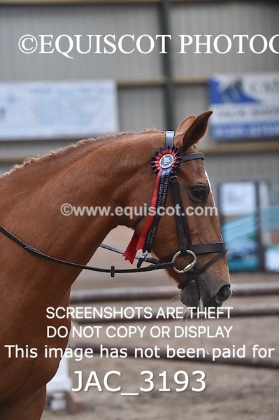 JAC_3193 - CLASS 7 BHS Scotland Riding Club Style Jumping