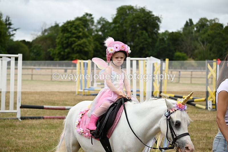 WJ6_4673 - Class 11 Fancy Dress