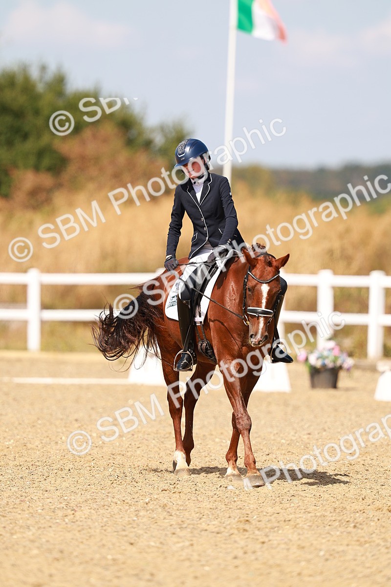 SBM_018351 - Class 9 - N5 Bronze 11.57.13.07
