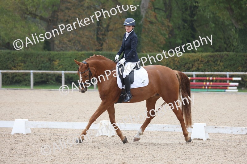 20251012-0552 - Class 4 - Novice 6