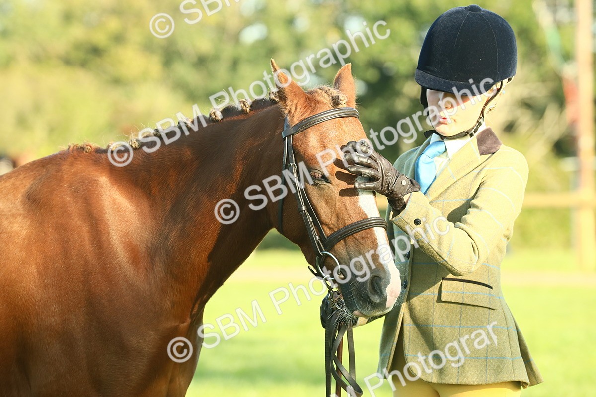 SBM_57488 - S37 - Starters In Hand Showing