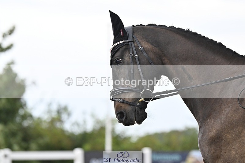 250907-103355-06276 - 027-Amanda.KingInvincible