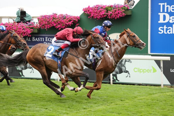 yr19082021r3-37 - Race 3 3.00pm Clipper Logistics Stakes