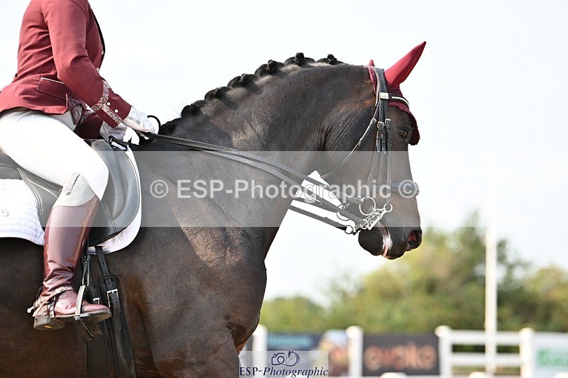 250816-152034-05831 - 035-Jane.LittlejohnNot.just.anyone