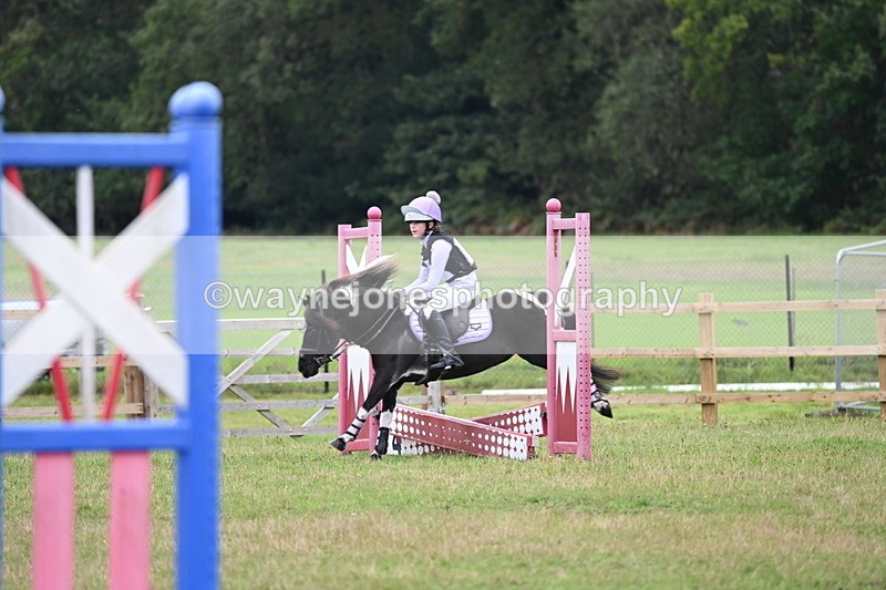 WJ6_0353 - 40cm Time 10:00 to 10:28