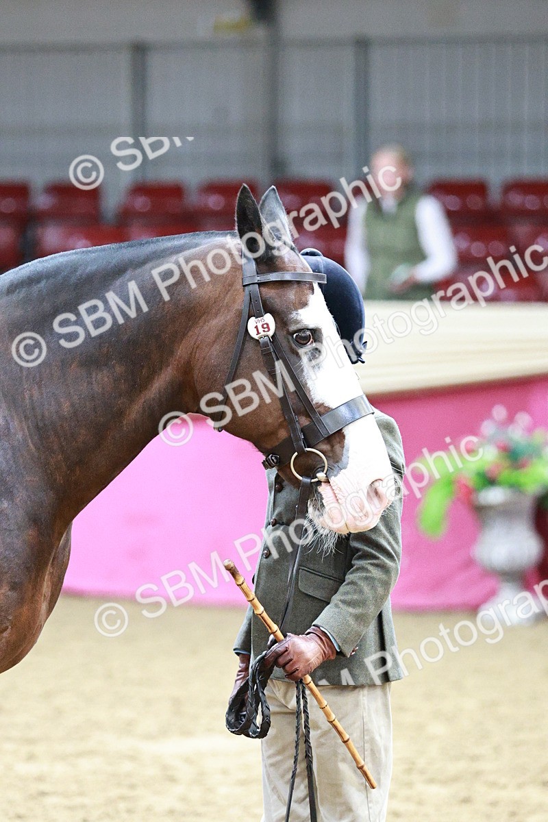 SBM_01254 - Class 3A - Area IH Pre-Vet