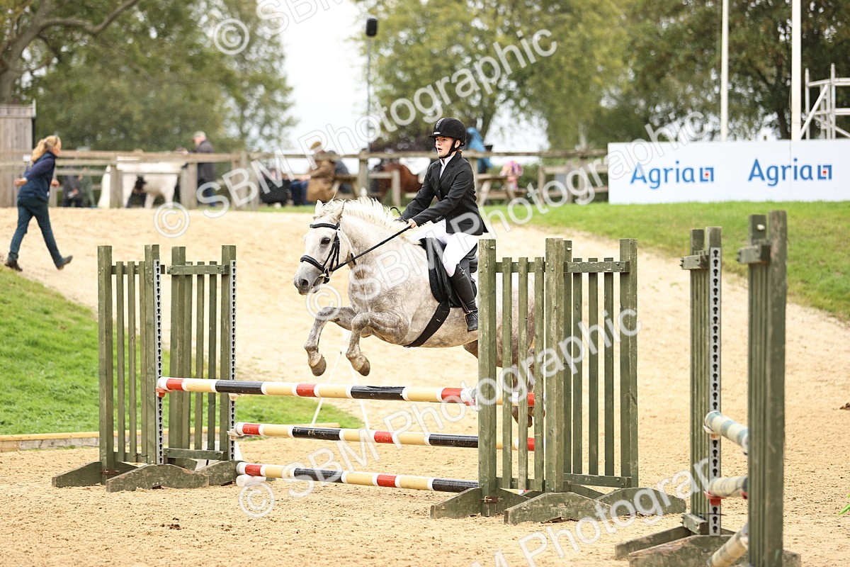SBM_68943 - J18 - Junior Pony 85cm championship