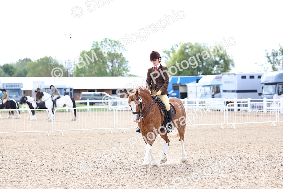 SBM_15835 - Class 314 - Family Horse - Pony