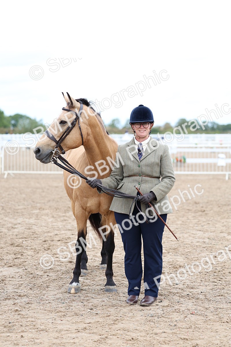 SBM_01469 - Class 17 - Prettiest Mare
