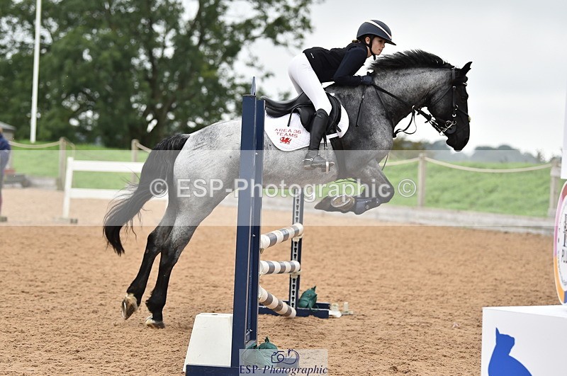 230902A-114320-00815 - Cls 2B Pony Small 80cm