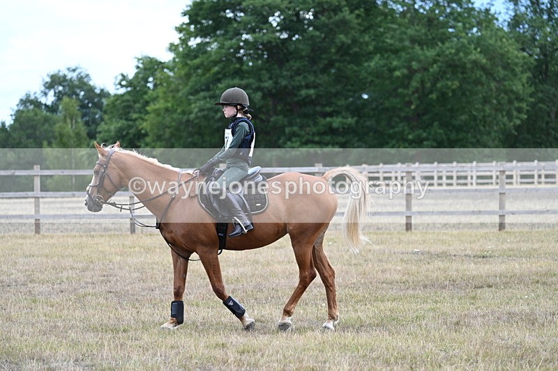 WJ7_1596 - 60cm Time 13:20 to 14:27