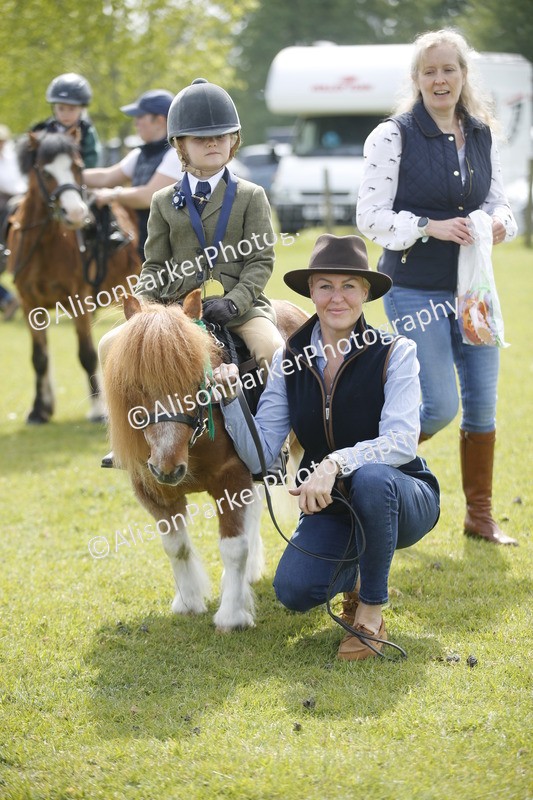 20260426-1901 - Class 7 - Pony Judge Would Most Like To Take Home