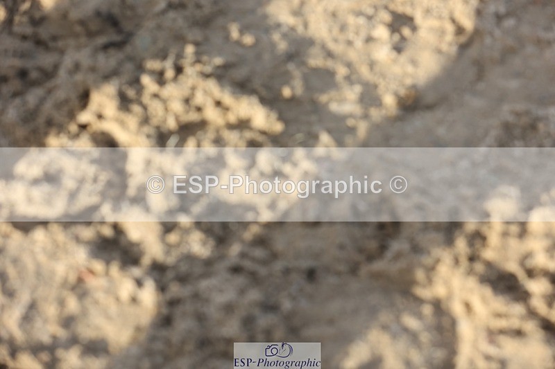 241027-152109-18275 - Presentations - BE100 3DE