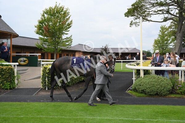 yr20082021r3-1 - Race 3 3.00pm Al Basti Equiworld Dubai Gimcrack Stakes