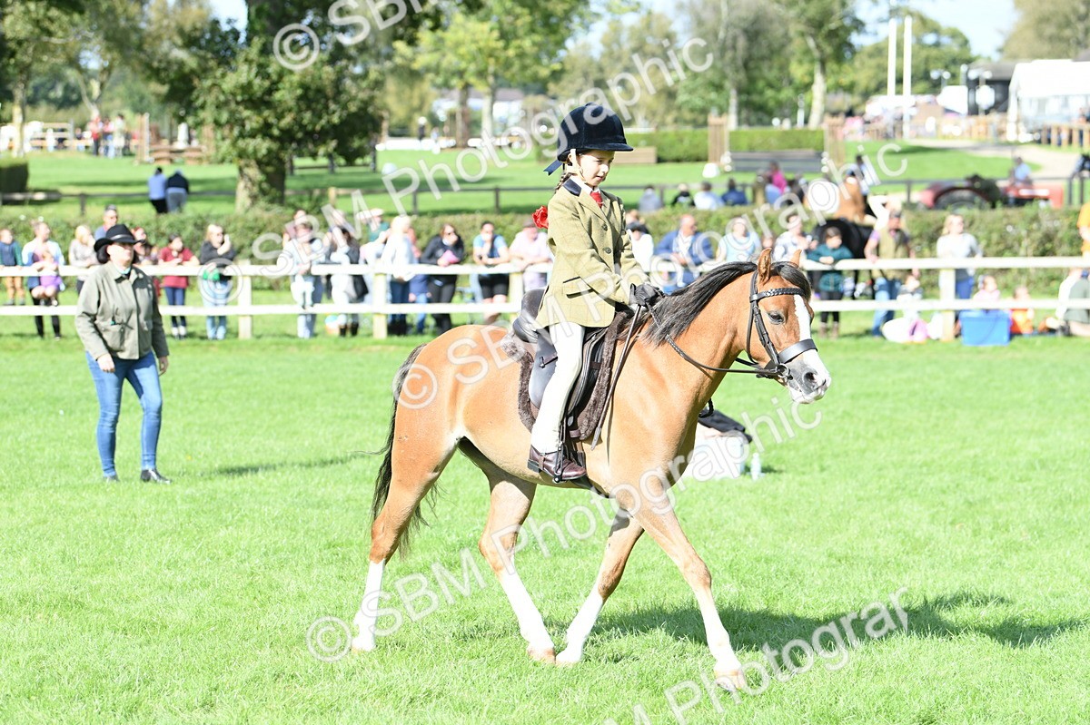 SBM_50291 - S21 - Novice & Newcomers 1st Ridden Pony