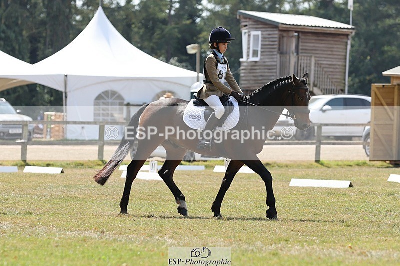 250823A-134044-31566 - Arena C