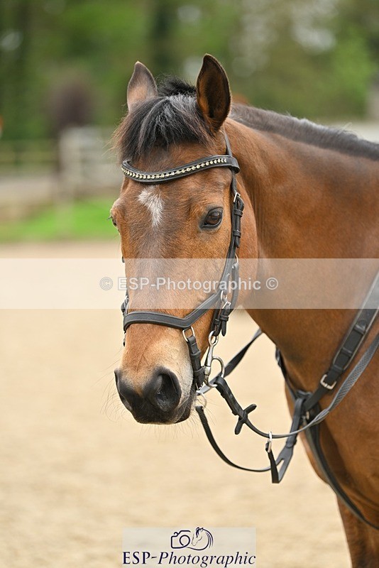 240411-114526-01114 - Group 4 XC