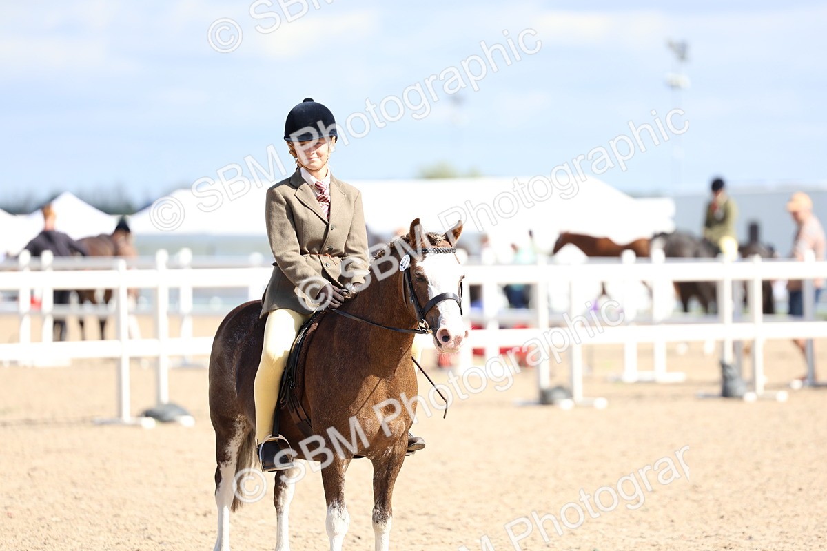 SBM_13341 - Class 311 - Ridden Show Pony Show Hunter Pony