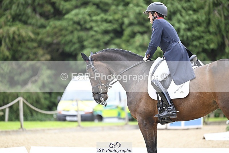 000101-204003-04169 - 413-BROOKFIELD_QUALITY-Tom_McEwen