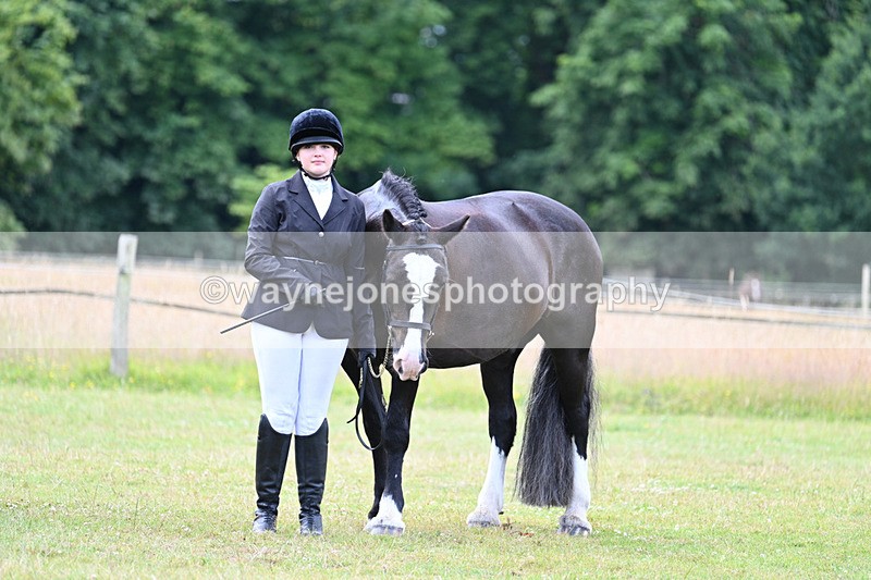 WJ7_7142 - Class 5a Most Handsome Gelding in Hand