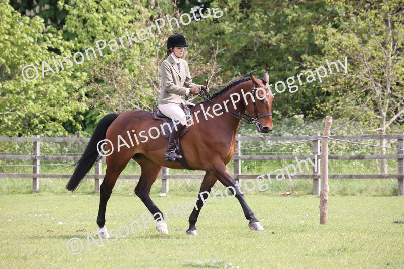 20260426-4327 - Class 34 - Best Riding Horse Over 14.2hh