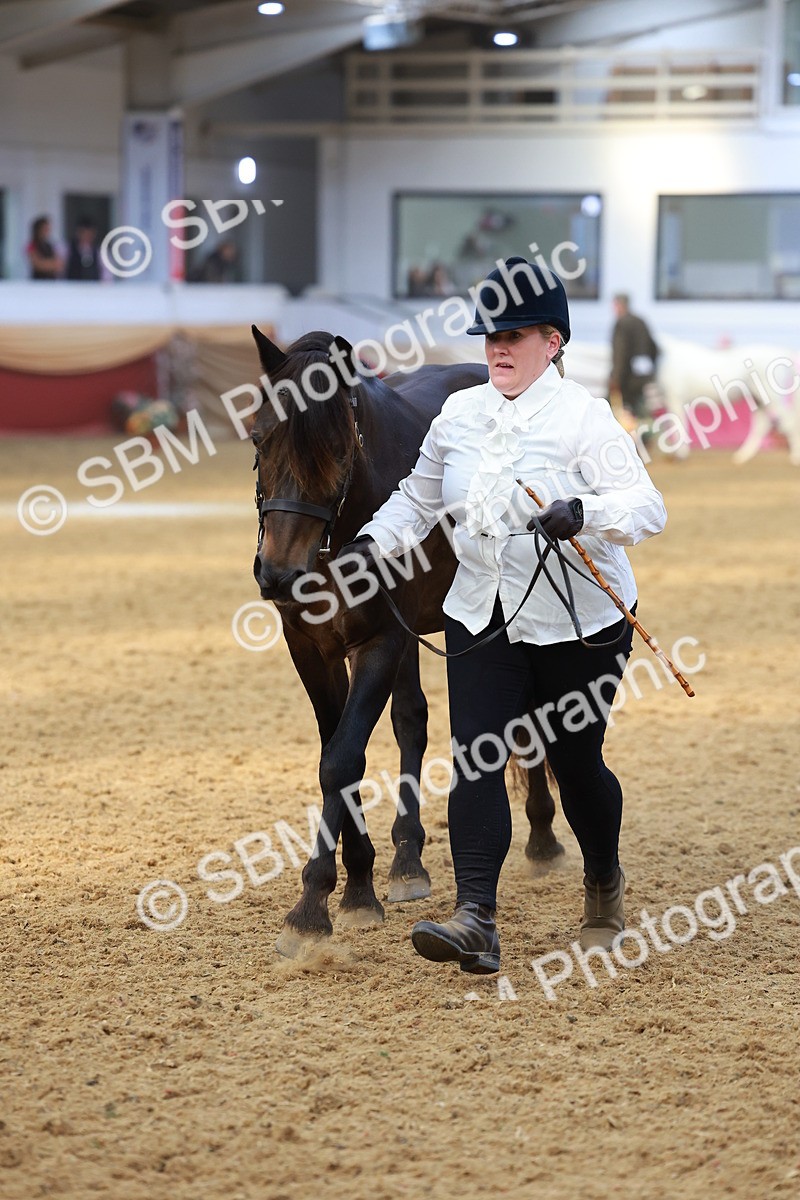 SBM_16667