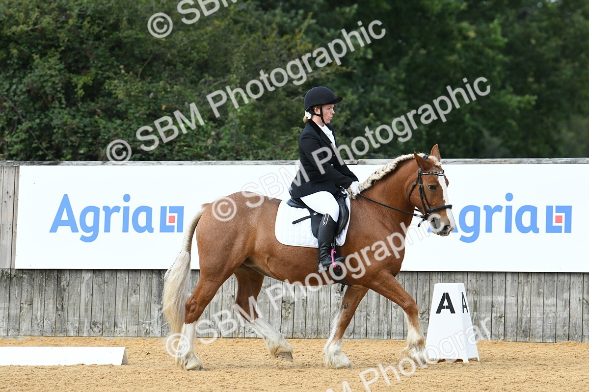 SBM_03099 - D7 Small Tour Championship Prelim 1