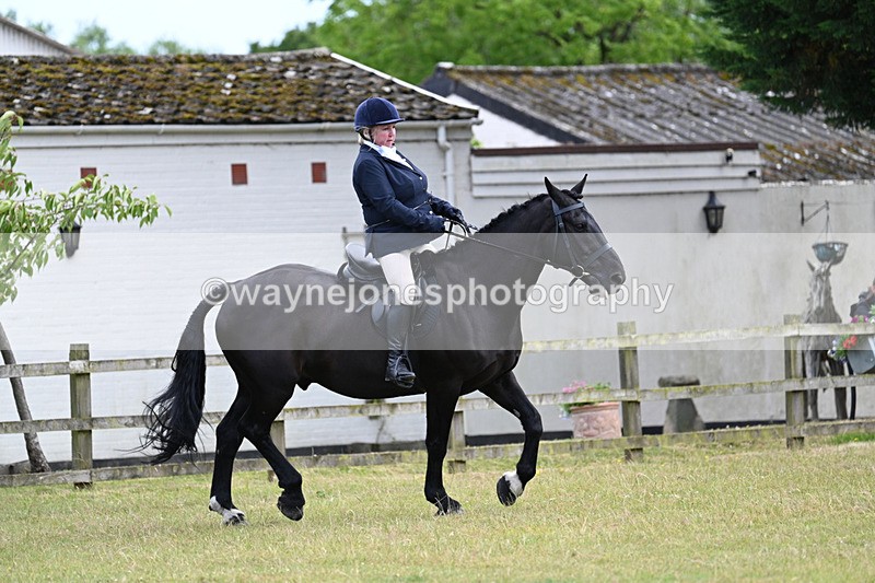 WJ7_9535 - Class 8 Ridden Veterans