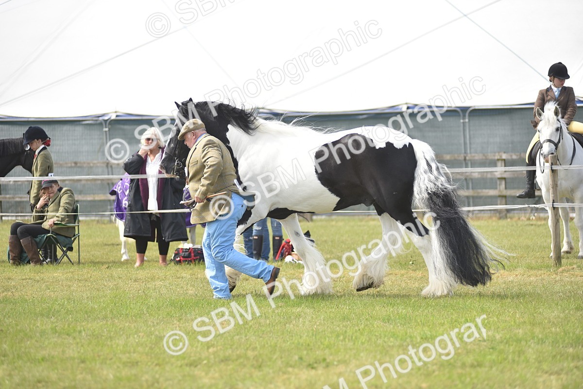 SBM_16089 - Class 117-122 - SSADL RIHS Qualifier