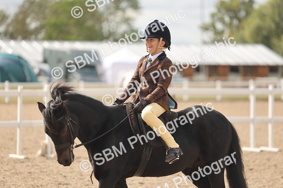 SBM_15902 - Class 310 - First Ridden Pony