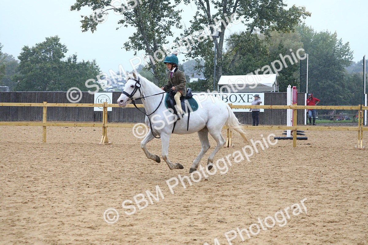 SBM_71465 - J4 - Mini Tour Junior Pony 45cm Championship